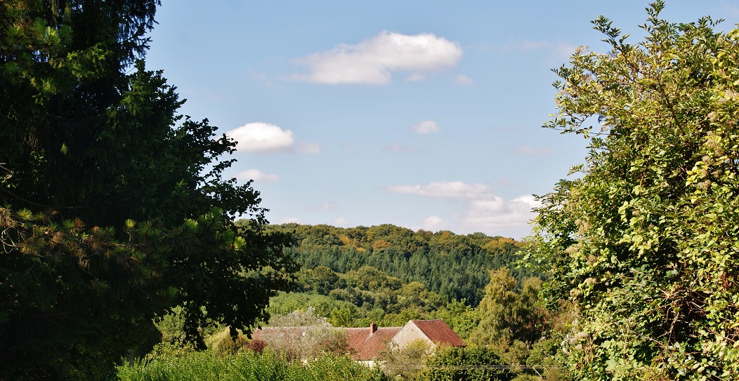 Photo à Oudan (58210) Oudan, 263801