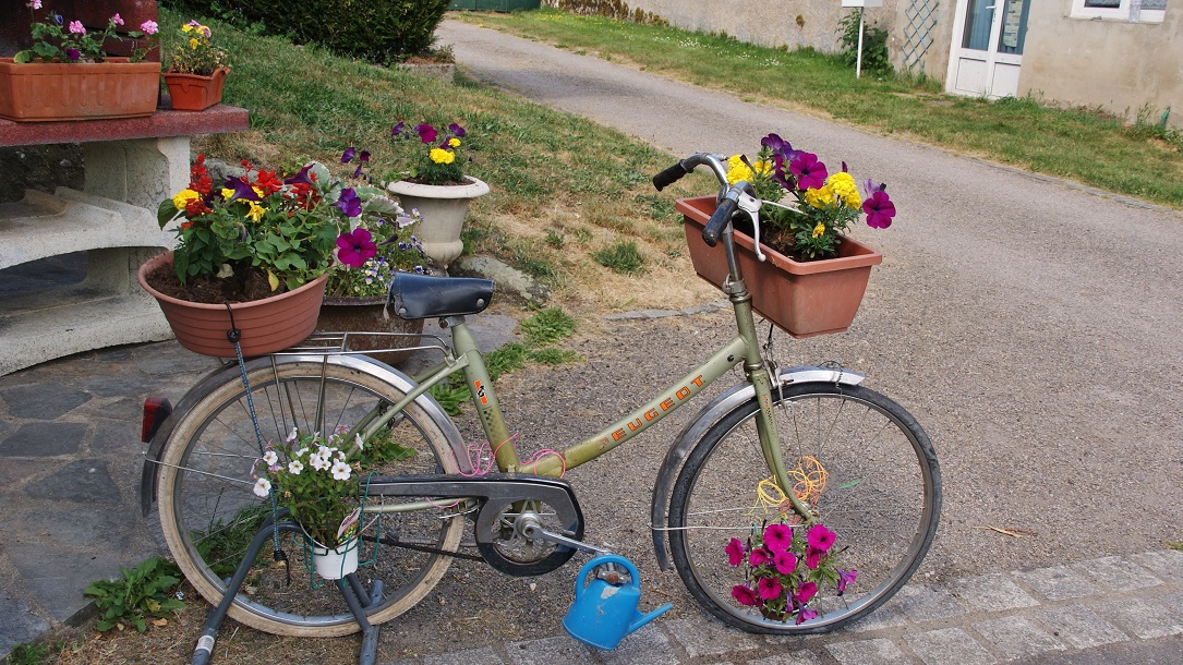 Résultat de recherche d'images pour "vélo fleuri photo"