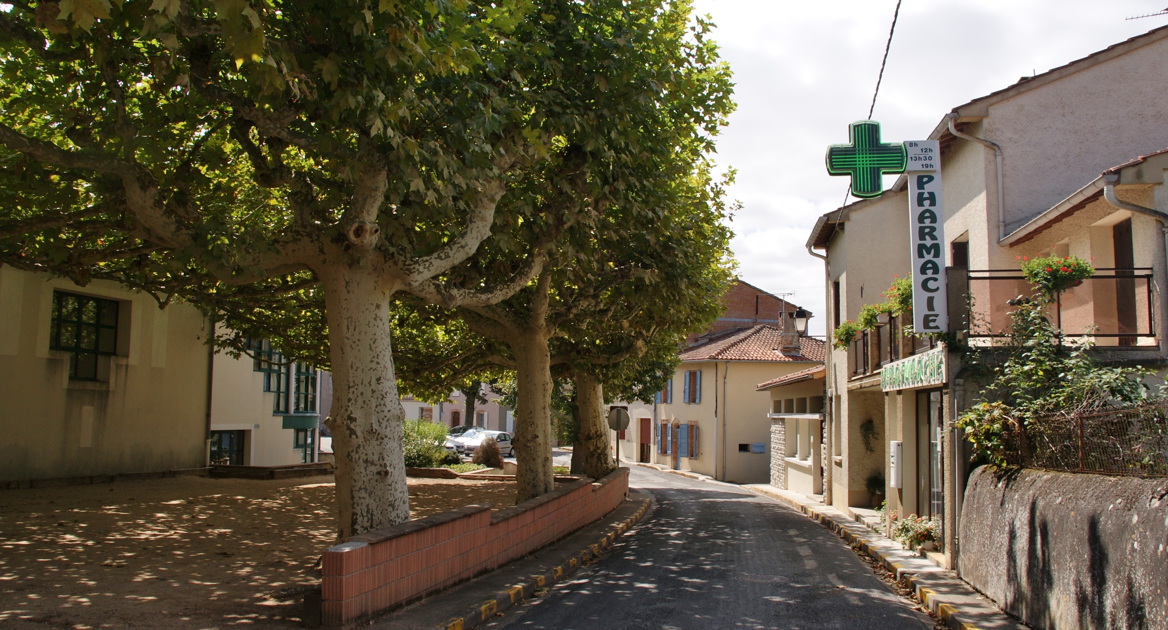 Photo à Cadalen (81600) Cadalen, 165397