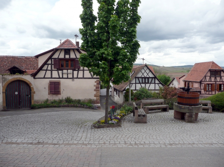 Près du lavoir route du vin - Dangolsheim