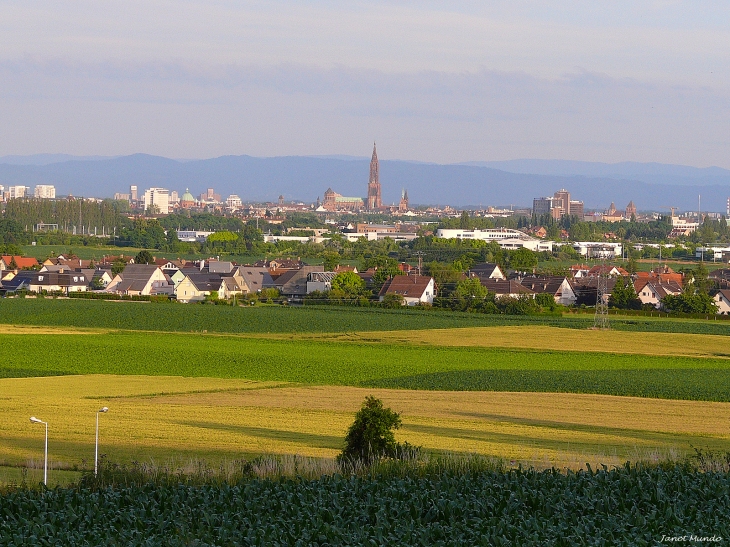 Strasbourg vu depuis les hauteurs du village - Mundolsheim