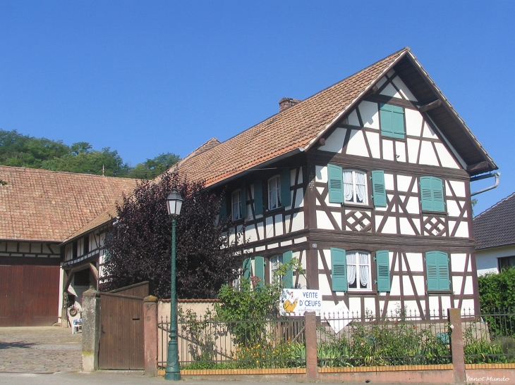 Ancienne maison du village   rue Schreiber - Mundolsheim