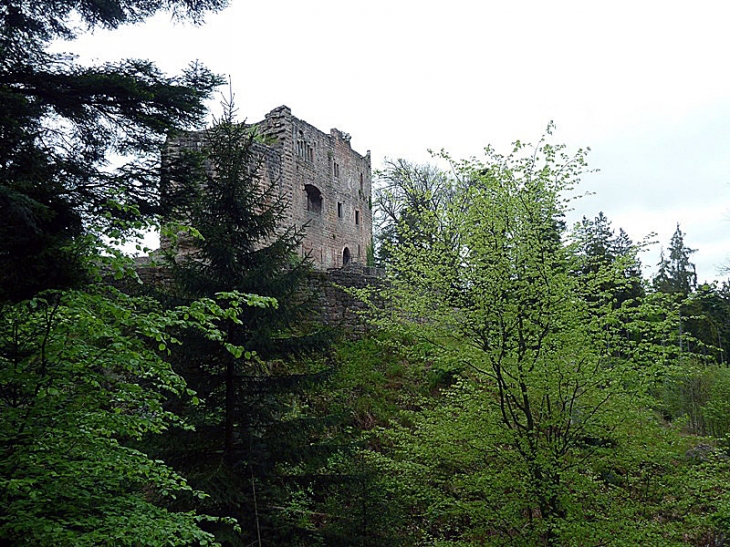 Les ruines du château de Birkenfels - Ottrott