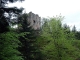 les ruines du château de Birkenfels