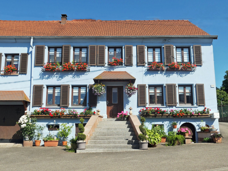 Maison du village - Schœnbourg