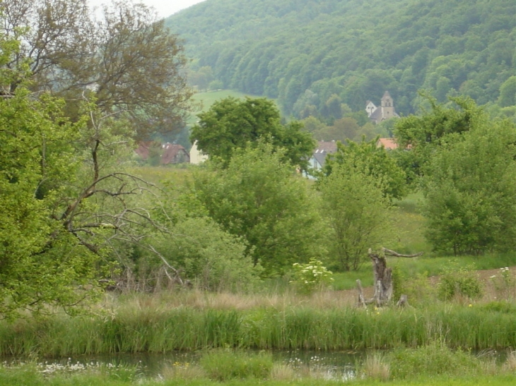 Les étangs de Biederthal