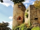 Photo suivante de Ferrette Ruines du Château de Ferrette