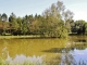 Photo précédente de Illfurth étang de Illfurth