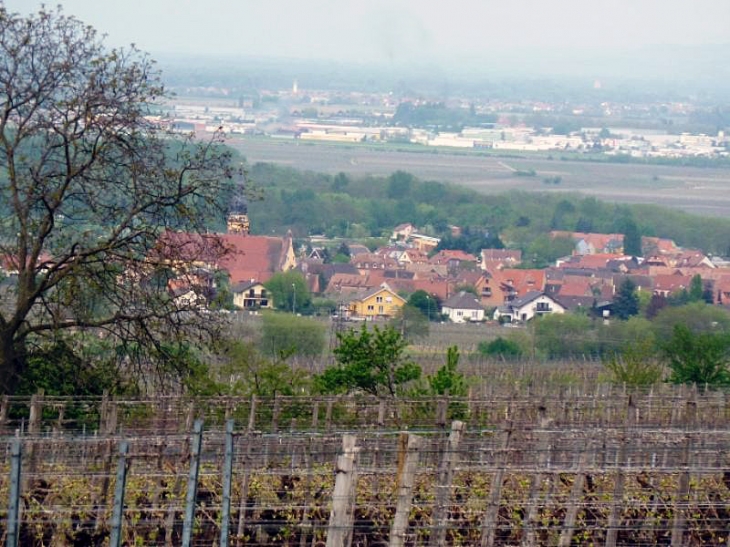 Village sur la route des vins - Ingersheim