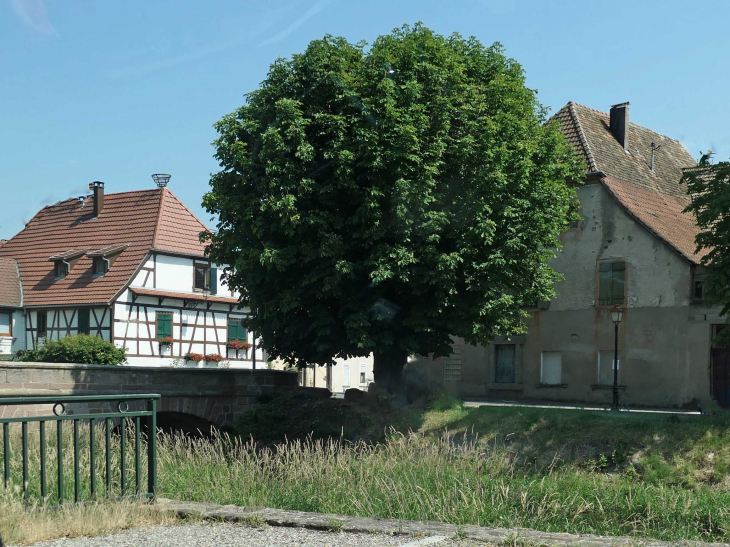 Maison quai de la Lauch - Issenheim