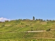 Photo précédente de Sigolsheim Panorama