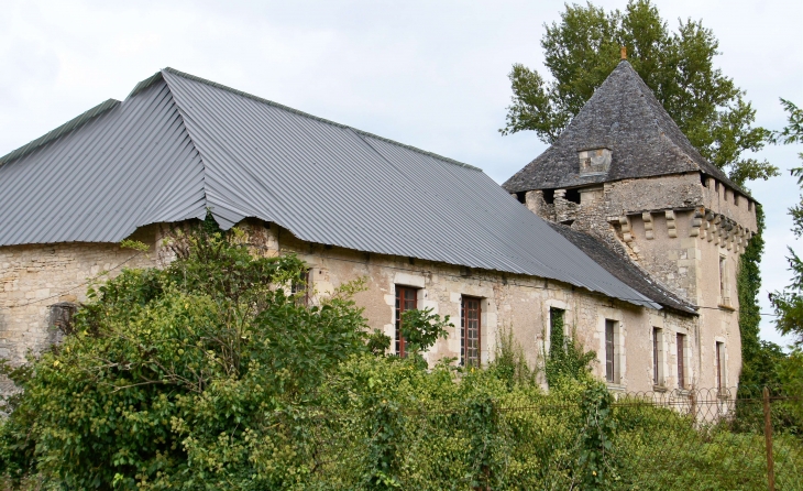 Château de la Commanderie du XIVe siècle en 2013. - Condat-sur-Vézère