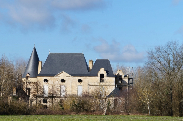 Château de Pile, XVe et XVIIe siècles, incendié début juillet 2008 (en cours de restauration). - Cours-de-Pile