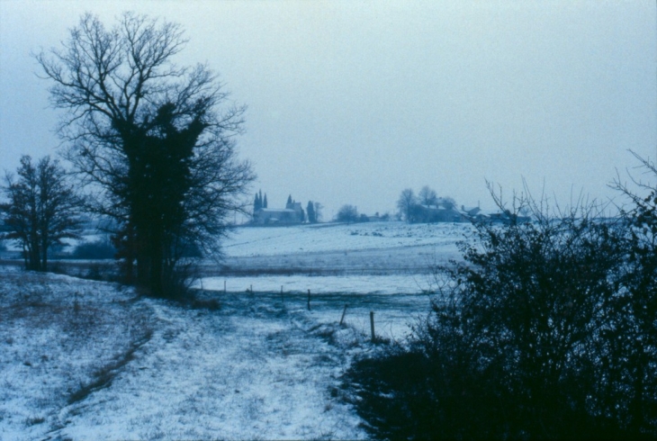 Février 1985 - Flaugeac