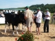 Concours agricole