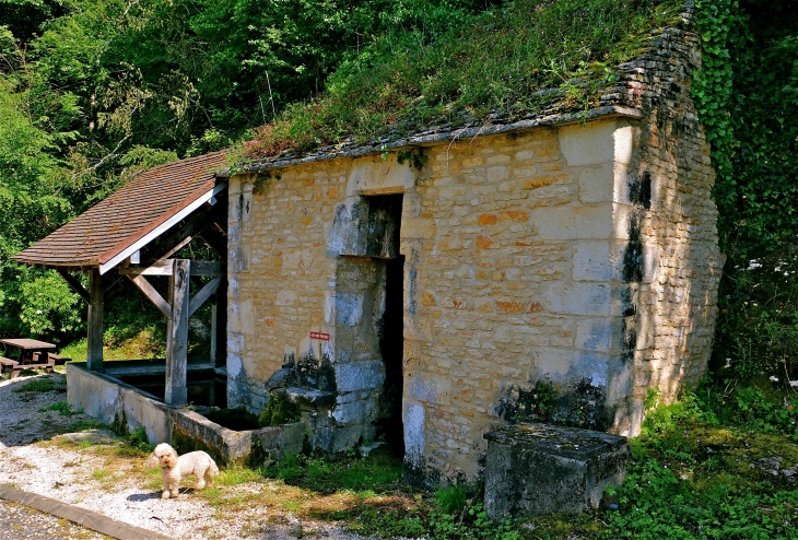Fontaine-Lavoir de la Cassagne