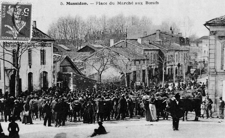 Place du Marché aux Boeufs, vers 1910 (carte postale ancienne). - Mussidan