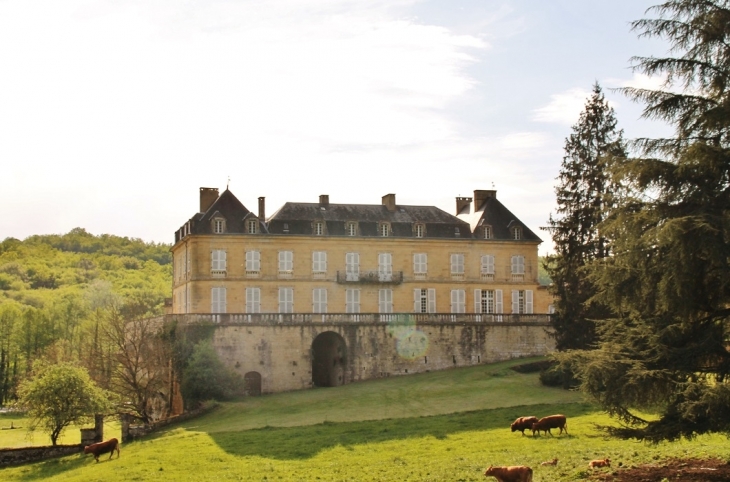Château du Roc - Saint-André-d'Allas