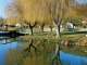 Reflet de Saules dans le canal de Lalinde.