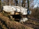 Le dolmen de Cantegrel.