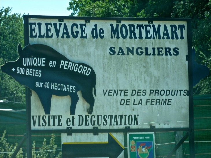  - Saint-Félix-de-Reillac-et-Mortemart