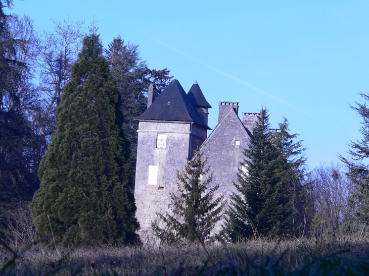 Chateau du pommier - Saint-Front-la-Rivière
