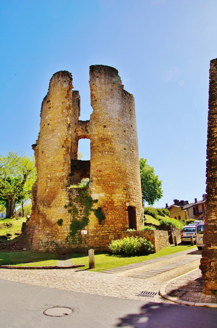 Château ( ruines ) - Sainte-Alvère