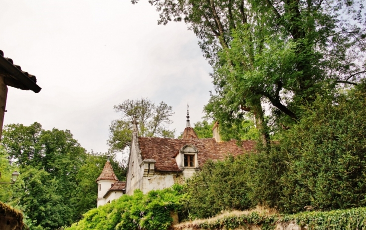 Le Château - Sarliac-sur-l'Isle