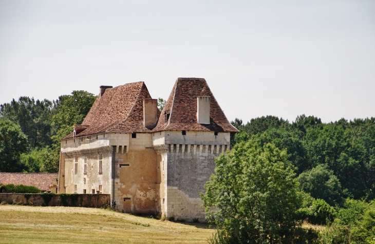 Le Château - Segonzac