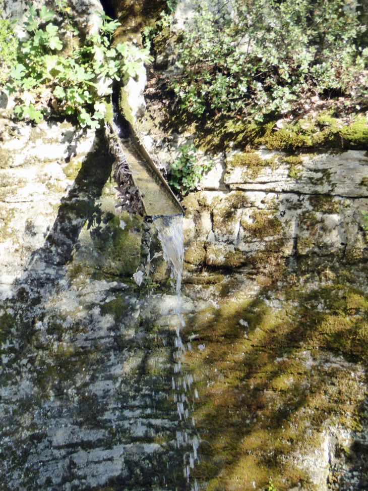 Les jardins suspendus de Marqueyssac : la fontaine - Vézac