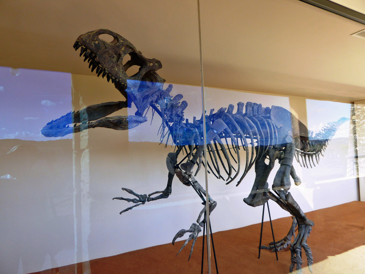 Les jardins suspendus de Marqueyssac : le squelette de dinosaure - Vézac