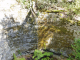 Photo précédente de Vézac les jardins suspendus de Marqueyssac : la fontaine