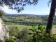 Photo suivante de Vézac belvédère de Marqueyssac : vue sur la Dordogne