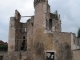 Photo suivante de Villamblard Chateau