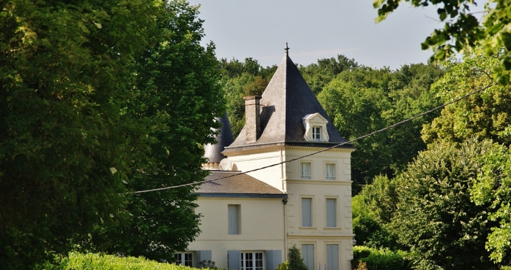 Le Château - Bonnetan