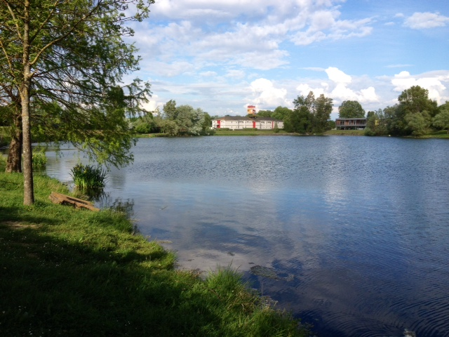 Le lac Lamothe, paradis des pêcheurs et des canards. - Bruges