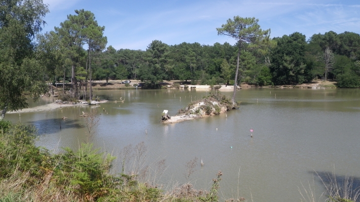 Un étang au parc de Monsalut - Cestas