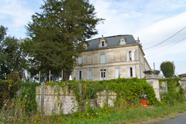 Château La Tour Blanche à Monfourat. XVIIe, XVIIIe et XIXe sIècles. (Maison familiale rurale). - Les Églisottes-et-Chalaures