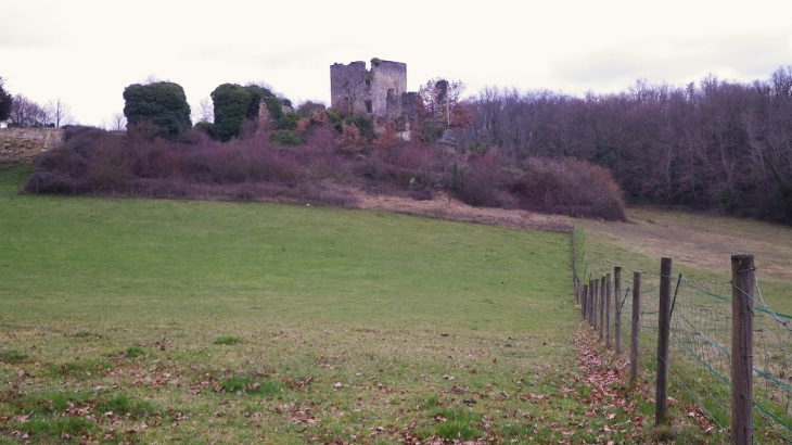 Ruines du château fort de Malangin, XIV et XVème siècle (IMH). - Montagne