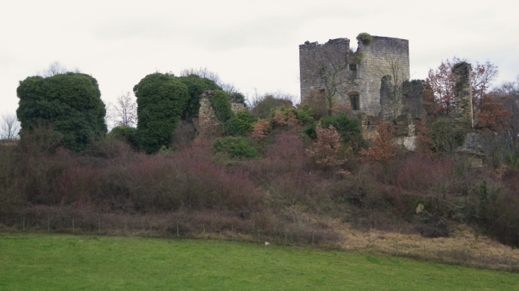 Ruines du château fort  de Malangin. - Montagne