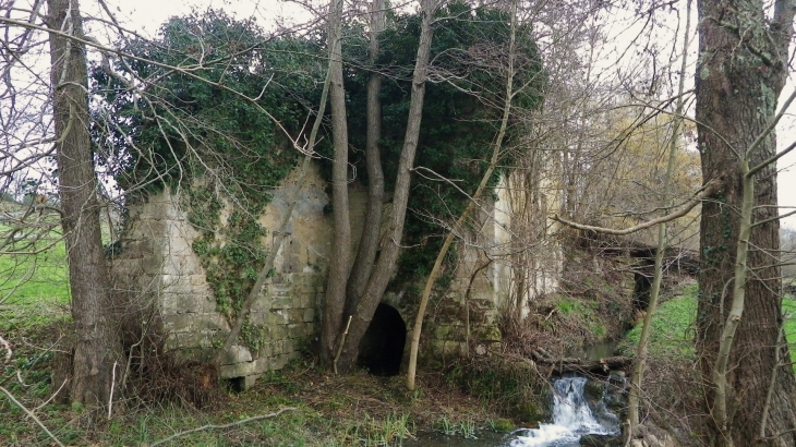 Ruines du moulin à eau de Malangin sur la Barbanne. - Montagne