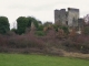 Ruines du château fort  de Malangin.