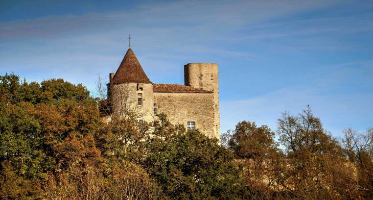 Château du Puch de Gensac - Pellegrue