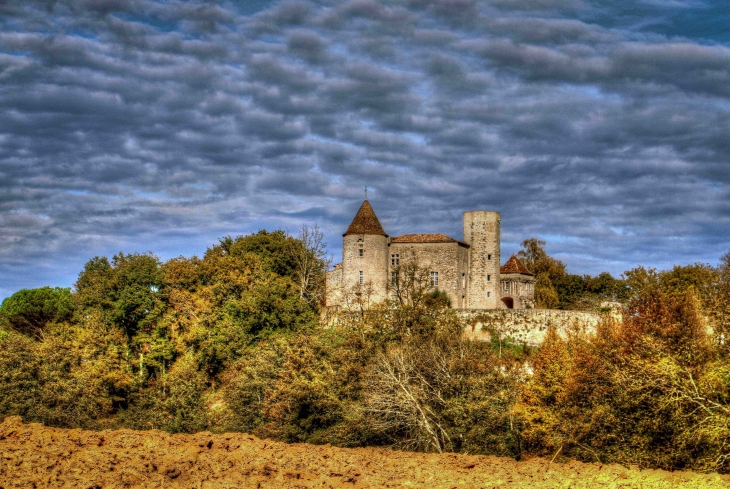 Château du Puch de Gensac - Pellegrue