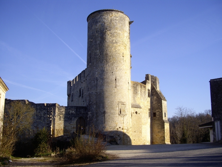 Le château fort 13/15ème et son donjon cylindrique de 30 mètres. - Rauzan