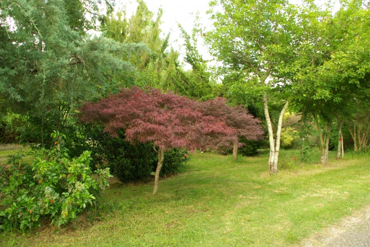 Arboretum de Picampeau - Saint-Denis-de-Pile