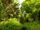 Photo suivante de Saint-Denis-de-Pile Arboretum de Picampeau