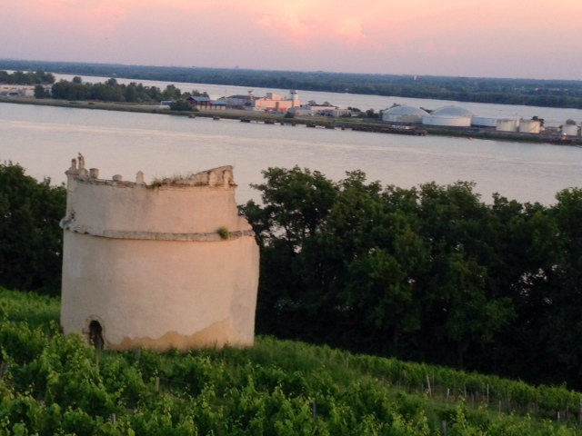 Une tour au milieu des vignes au dessus de la Dordogne. - Saint-Seurin-de-Bourg