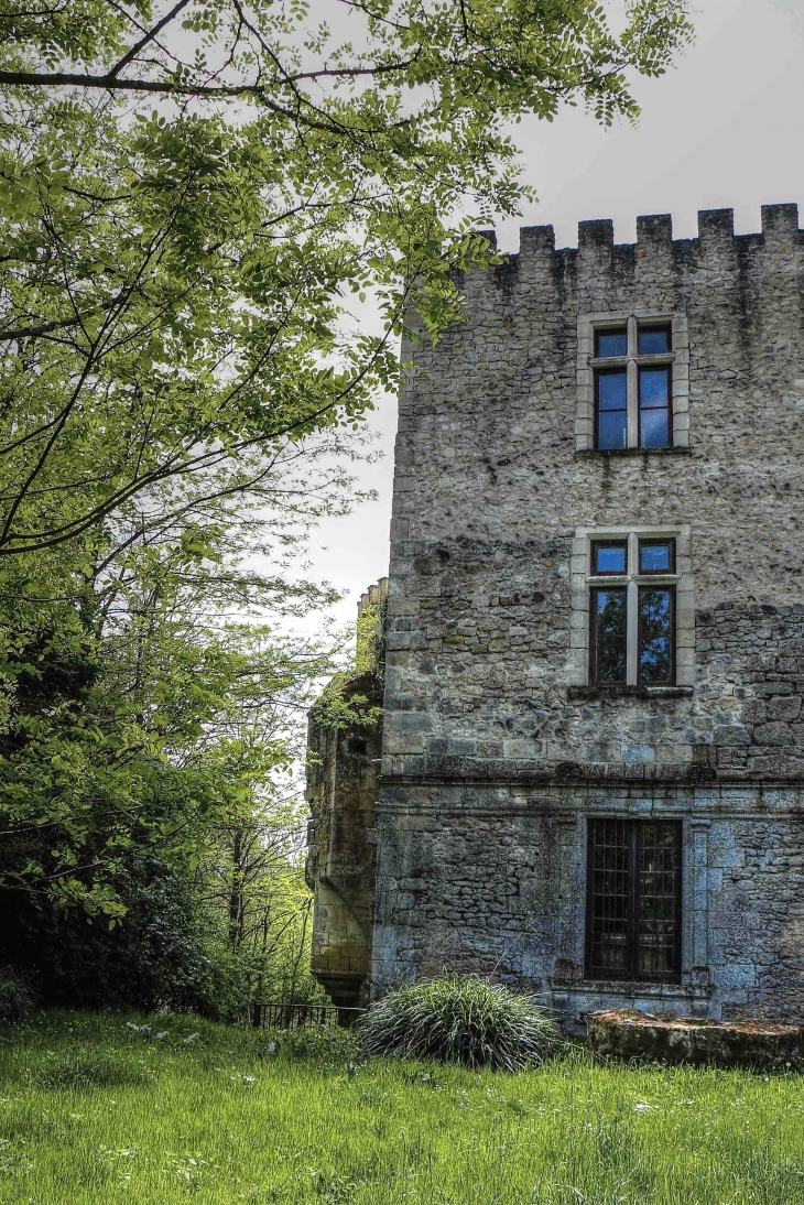 Chateau de Guilleragues - Saint-Sulpice-de-Guilleragues