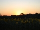 Photo suivante de Sainte-Gemme coucher du soleil a Sainte-Gemme